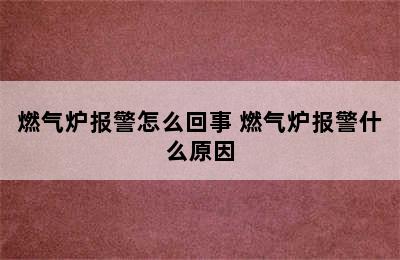 燃气炉报警怎么回事 燃气炉报警什么原因